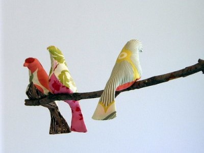 Păsări de calico cu mâinile lor, platforma de conținut