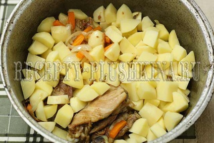 Brânză de pui cu cartofi și legume