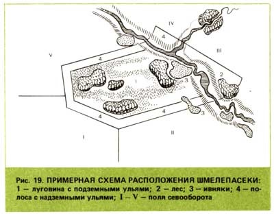 Amplasarea parcelelor de semințe de trifoi și a micro-rezervelor