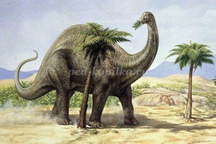 A történet a dinoszauruszokról az általános iskolai