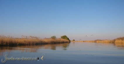 Pescuitul pe Dunăre, modalități de capturare a videoclipului