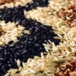 Diabetul zaharat din orez poate diabetici de tip 2