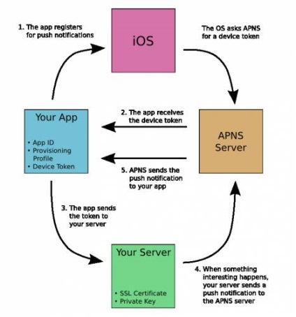 Implementarea serverului de notificări push ios (python)