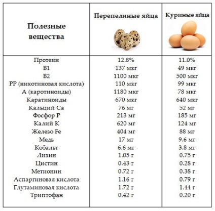 Raw dieta meniu, opțiuni, marturii, rezultate