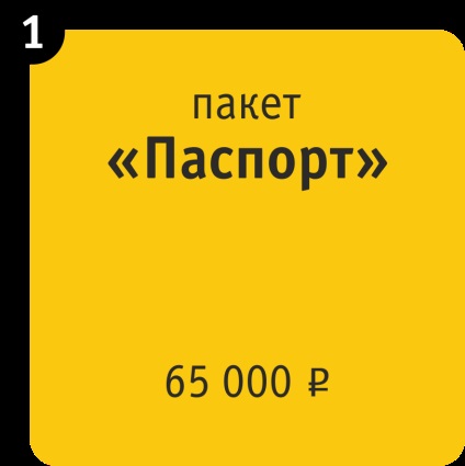 Crearea și dezvoltarea companiei de carte de marcă de la z & ing