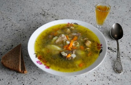 Supa cu reteta clasica de gutui de pui