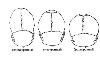 Tema nr. 4 definirea indexului-cap - stadopedia