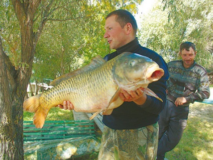 Crapul trofeului din Kuban - pescuitul