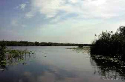 În delta Dunării - articole despre pescuit