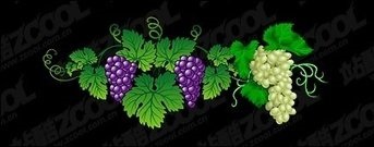 Grape Stencil Graphic Blanks descarca 125 clipuri arta (pagina 1)