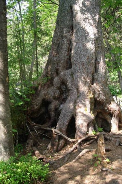 Cascade Zhigalan, urala de nord, originile