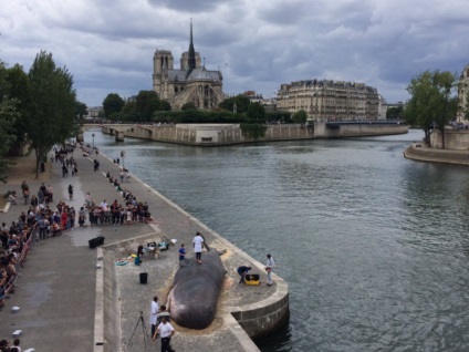 Locuitorii din Paris s-au găsit pe digul fânului 