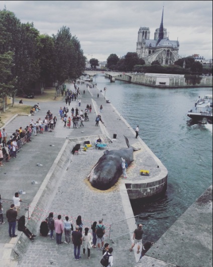 Locuitorii din Paris s-au găsit pe digul fânului 