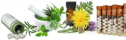 Alternativa - fitoplastia homeopatiei