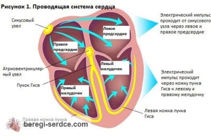 Aritmia cardiacă provoacă, simptome, tratament