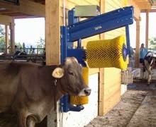 Perii automate pentru vaci