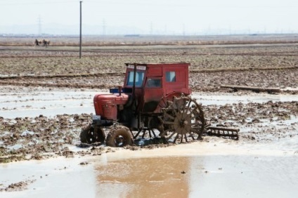 Parcul auto din Coreea de Nord vă vede din interior