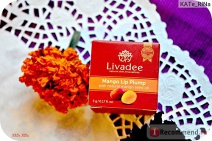 Balsam de buze livadee plumper 