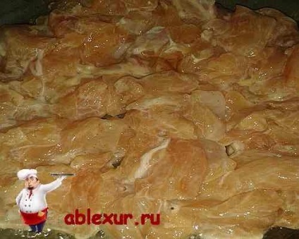 Carne de vită stroganoff de la pui în rețetă de iaurt cu fotografie