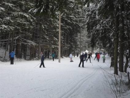 Trasee de schi în St. Petersburg, dinamosul din tocsovo