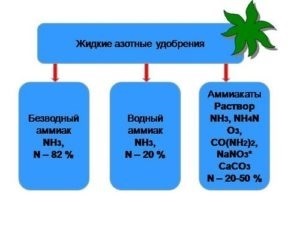 Amoniac anhidru ca îngrășământ - rate de aplicare, compoziție, proprietăți