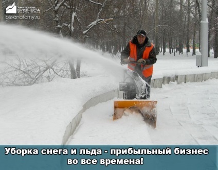 Idei de afaceri în timpul iernii! Nu sunt modalități banale de a câștiga în frig!