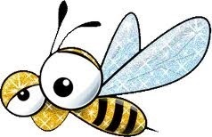 Care este diferența dintre o albină și o albină, animalele mele de casă