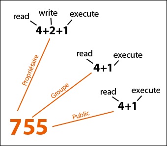 Chmod - ce drepturi au dosarele 777, 755, 444, 666