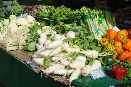 Daikon proprietăți utile și contraindicații