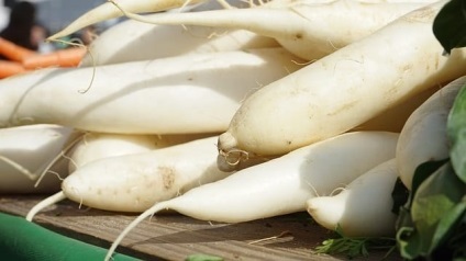 Daikon proprietăți utile și contraindicații