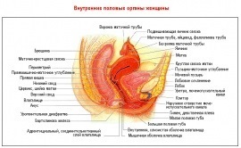 Deontologia în ginecologia pediatrică