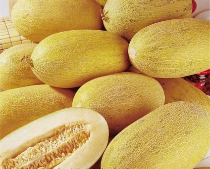 Melon előnyei és hátrányai, az előnyös tulajdonságok az egészség, a szervezet számára