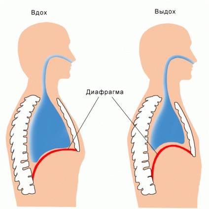 Gimnastica respiratorie după pneumonie - o tehnică de restaurare a plămânilor