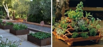 De ce aveți nevoie de o grădină decorativă 10 motive pentru ao crea în țară