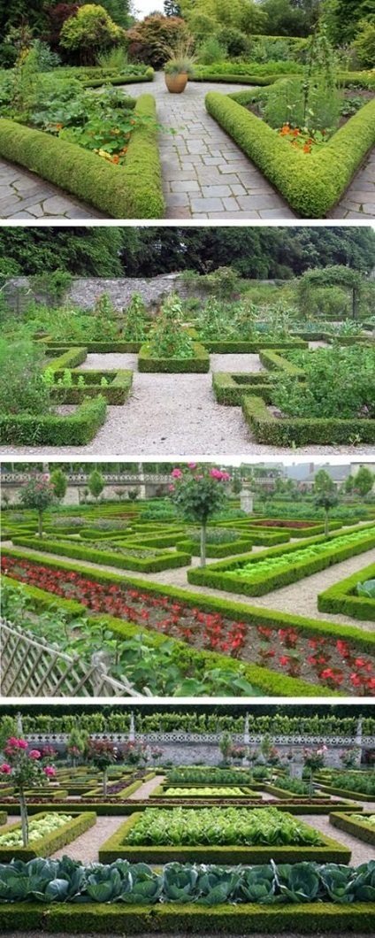 De ce aveți nevoie de o grădină decorativă 10 motive pentru ao crea în țară