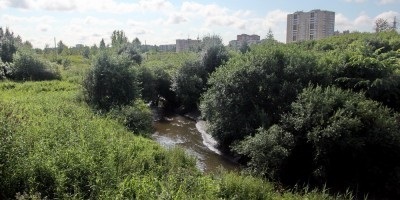 Până la sfârșitul anului 2018, vor împărți a patra parte a parcului Murinsky - știrea orașului din Sankt Petersburg