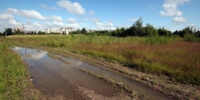 Până la sfârșitul anului 2018, vor împărți a patra parte a parcului Murinsky - știrea orașului din Sankt Petersburg