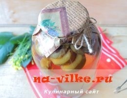 Otthon konzerv a téli kompótok bankok (kompótok) Otthon konzerv a téli kompótok bankok