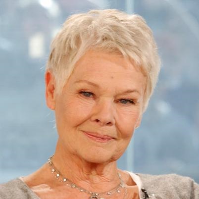 Judy Dench (judi dench) filmografie, biografie și viața personală a actriței (foto)