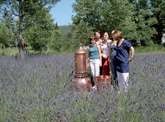 Az illóolajok a mezőről a Provence, kozmetikumok Zöld Mama