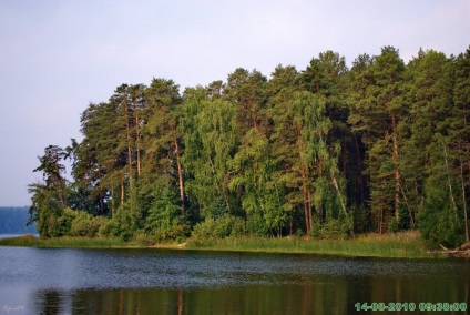 Elanchik (tabăra de sănătate a copiilor pe malul lacului eelanchik)