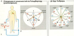 Electrocardiograma (eq)