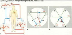 Electrocardiograma (eq)