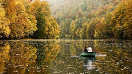 Fotografie a naturii sălbatice și cele mai bune fotografii ale animalelor în natura sălbatică a anului trecut