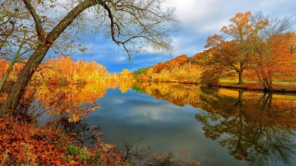 Fotografie a naturii sălbatice și cele mai bune fotografii ale animalelor în natura sălbatică a anului trecut