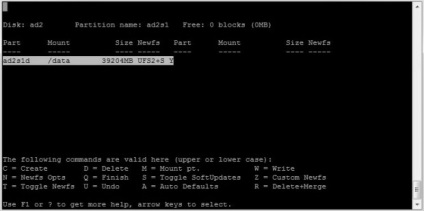 Freebsd - conexiune la hard disk (hdd)