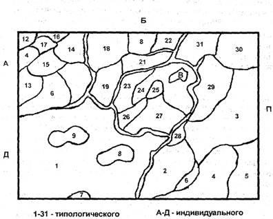 Zonarea geografică