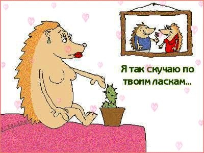 GIFCA a téma - Szeretlek, szerelmem (SIFCO) GIFCA a téma - Szeretlek, drágám