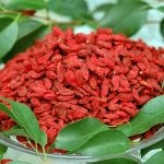 Goji (lícium vulgaris) bogyók a kínai gyógyszer tulajdonságait, gyógyító tulajdonságokkal rendőrség, tea Beri