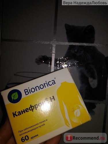 Homeopátia BIONORICA kanefron n tabletta - „kanefron terhesség ödéma nem nagyon